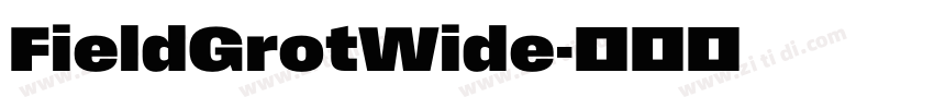 FieldGrotWide字体转换