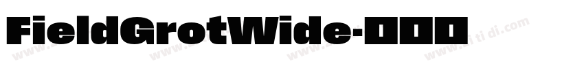 FieldGrotWide字体转换