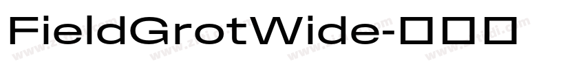 FieldGrotWide字体转换