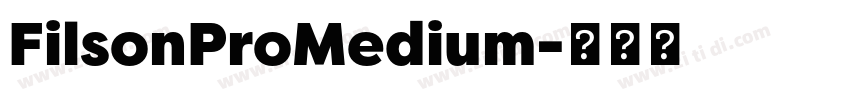 FilsonProMedium字体转换