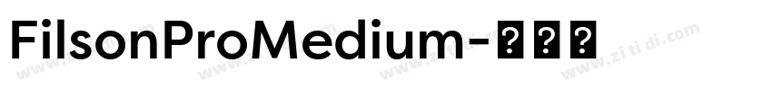 FilsonProMedium字体转换
