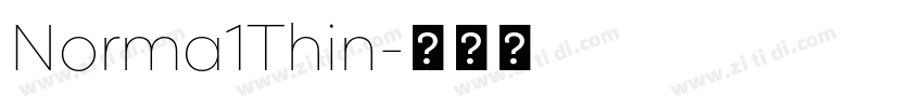 Norma1Thin字体转换