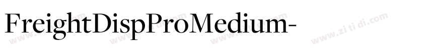 FreightDispProMedium字体转换 FreightDispProMedium字体转换