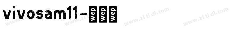 vivosam11字体转换