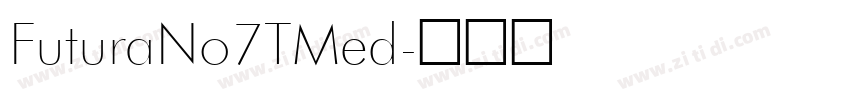 FuturaNo7TMed字体转换