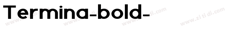 Termina-bold字体转换