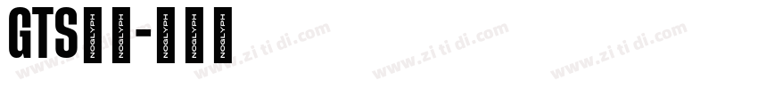 GTS样品字体转换