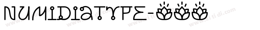 NumidiaType字体转换