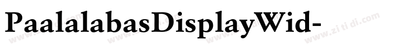 PaalalabasDisplayWid字体转换