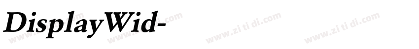 DisplayWid字体转换 DisplayWid字体转换