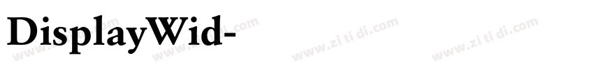 DisplayWid字体转换 DisplayWid字体转换