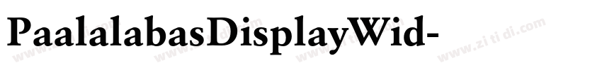 PaalalabasDisplayWid字体转换