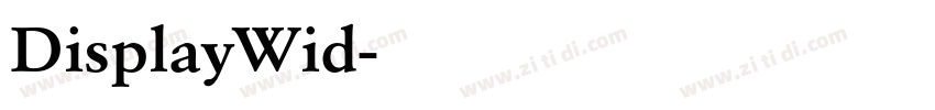DisplayWid字体转换 DisplayWid字体转换