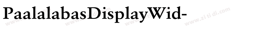 PaalalabasDisplayWid字体转换