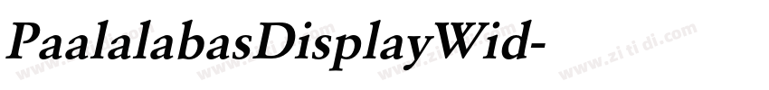 PaalalabasDisplayWid字体转换