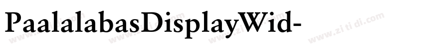 PaalalabasDisplayWid字体转换