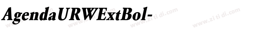 AgendaURWExtBol字体转换