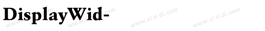 DisplayWid字体转换 DisplayWid字体转换