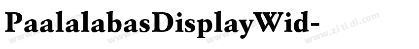 PaalalabasDisplayWid字体转换