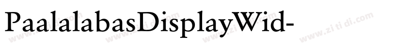 PaalalabasDisplayWid字体转换