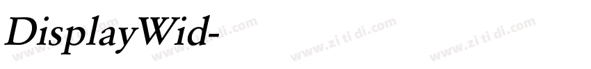 DisplayWid字体转换 DisplayWid字体转换