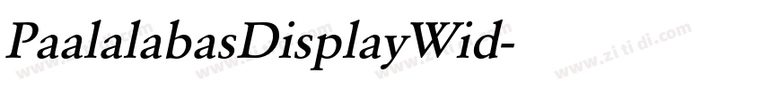 PaalalabasDisplayWid字体转换