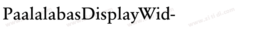 PaalalabasDisplayWid字体转换