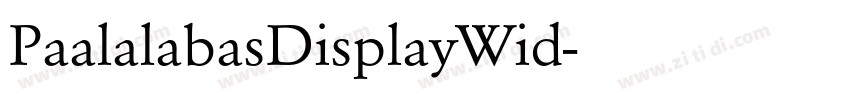 PaalalabasDisplayWid字体转换