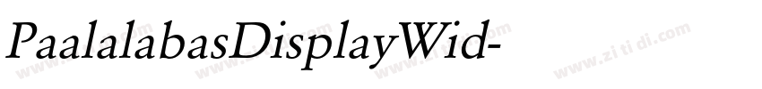 PaalalabasDisplayWid字体转换