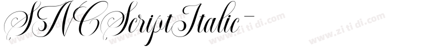 SNCScriptItalic字体转换