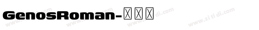 GenosRoman字体转换