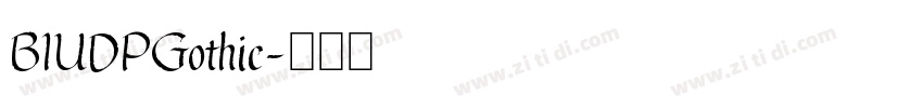BIUDPGothic字体转换