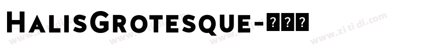HalisGrotesque字体转换
