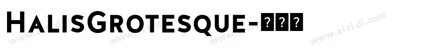 HalisGrotesque字体转换