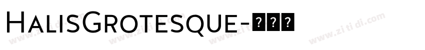 HalisGrotesque字体转换