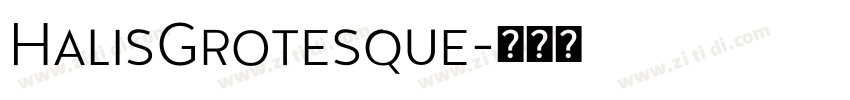 HalisGrotesque字体转换