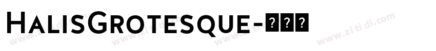 HalisGrotesque字体转换
