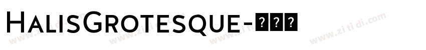 HalisGrotesque字体转换