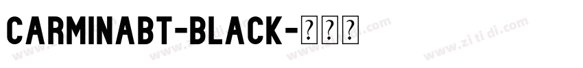 carminaBT-Black字体转换 carminaBT-Black字体转换