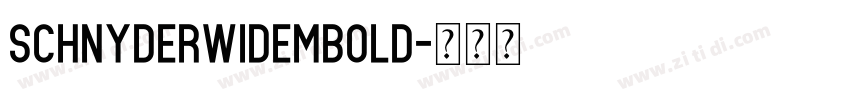 SchnyderWideMBold字体转换