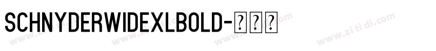 SchnyderWideXLBold字体转换