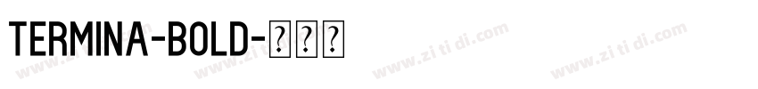 Termina-bold字体转换