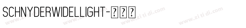 SchnyderWideLLight字体转换