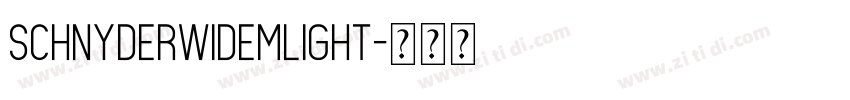 SchnyderWideMLight字体转换