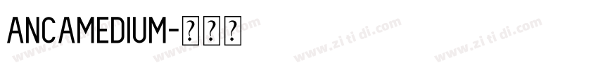 AncaMedium字体转换