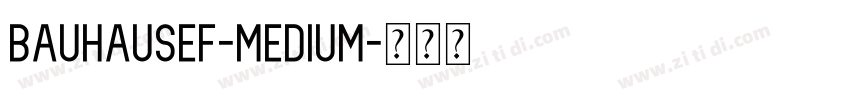 BauhausEF-Medium字体转换 BauhausEF-Medium字体转换