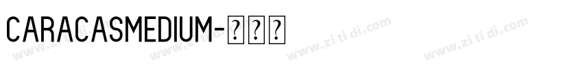 CaracasMedium字体转换