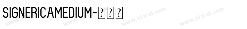 SignericaMedium字体转换