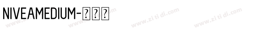NiveaMedium字体转换