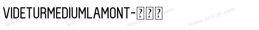 VideturMediumLamont字体转换